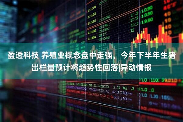 盈透科技 养殖业概念盘中走强，今年下半年生猪出栏量预计将趋势性回落|异动情报