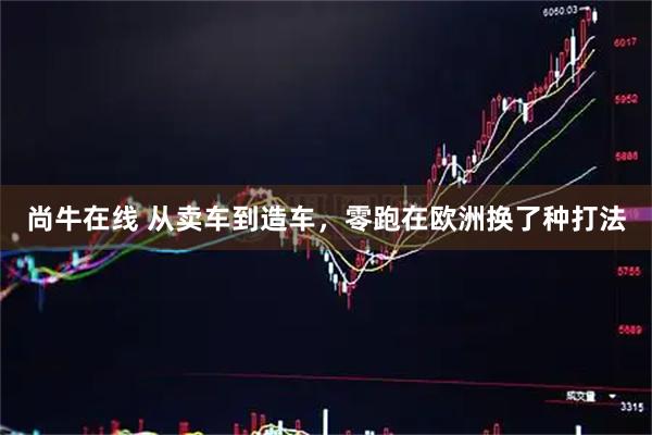 尚牛在线 从卖车到造车，零跑在欧洲换了种打法