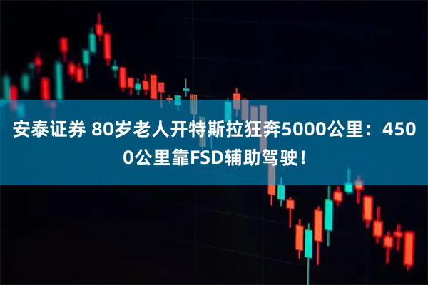 安泰证券 80岁老人开特斯拉狂奔5000公里：4500公里靠FSD辅助驾驶！